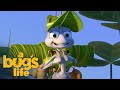 A Bug S Life Trailer HD