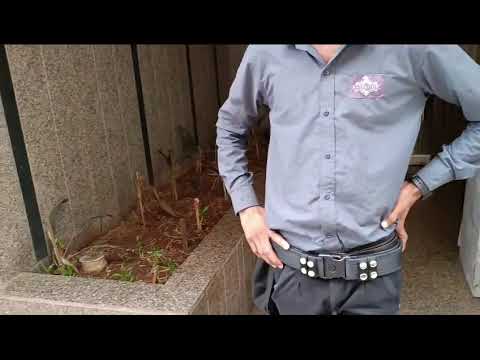 Physical abuse by Prajakta Bedekar and Pramila Bedekar