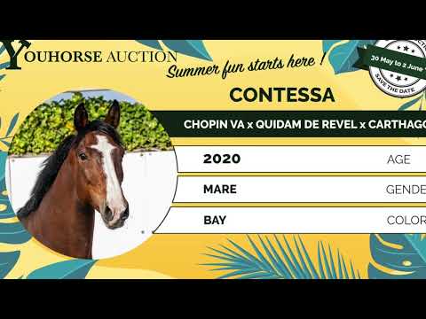 youtube preview