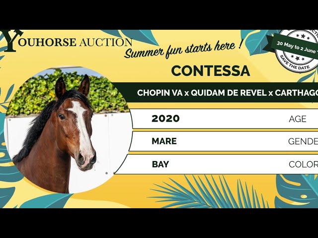 Contessa