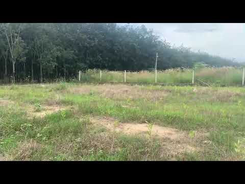 Đất nền Tân Hiệp, sổ sẵn bao thuế phí sang tên công chứng