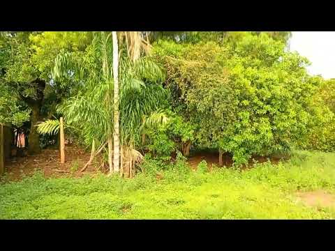 RECANTO SLOBACCO, Breve Transformações, Necessárias ao Valor Estimado.