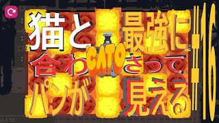 (=実況=)ネコとパンが合わさって最強に見えるCATO #16