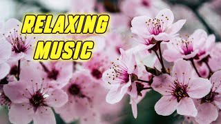 Relaxing Sleep Music 🌿 Relieve Stress, Anxiety and Depression, Meditation Music Relax Mind Body, Spa
