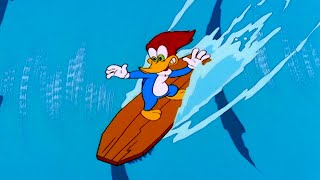 Pica-Pau Vai Surfar! 🏄 | Pica-Pau em Português