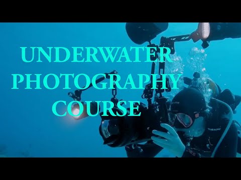 Underwater Photography Course l ©Liquid Motion® Underwater Photo & Film & Art Academy Cozumel!