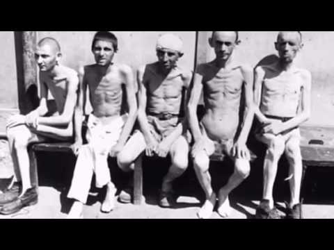 Cause & Effects of Holocaust HIS 122