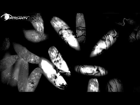 WAR FROM A HARLOTS MOUTH - Track By Track "VOYEUR" - Part 1/3