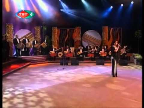 Aysun Gültekin - Çalın Davulları