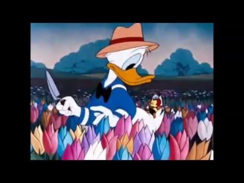 Branko kockica   Zakleo se bumbar (animirani spot)