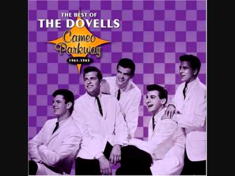 The New Continental - The Dovells