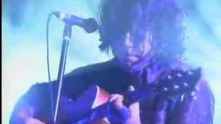 tea party live(THE BADGER)