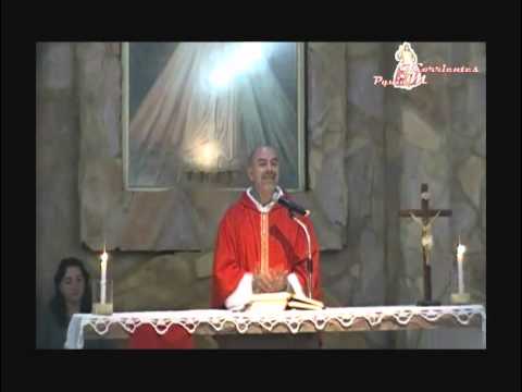 HOMILIA DOMINGO DE PENTECOSTES 2011.wmv