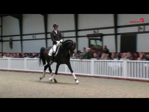 Rock For Me Zuechterfruehling 2017