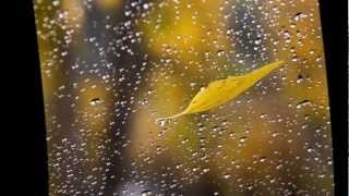 Autumn leaves-Barbra Streisand