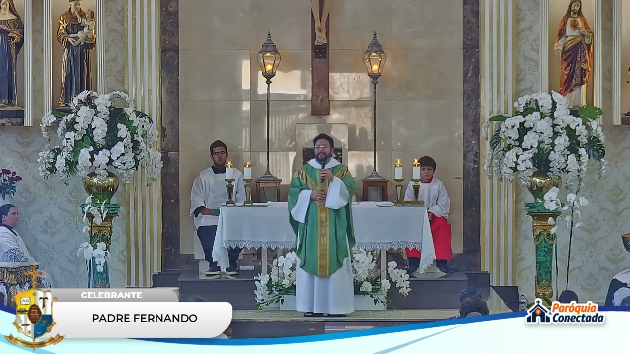 HOMILIA 7° DOMINGO DO TEMPO COMUM