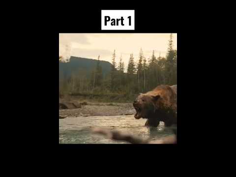 predator fight | prey (2022)