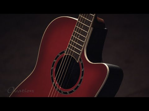 1988 Washburn EC29 Spitfire Signature Series - Stephen's