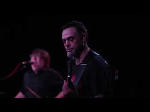 Lark Vs Owl  - Coyote (live at Folklife 2023)