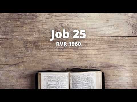 Job 25 - Reina Valera 1960 (Biblia en audio)