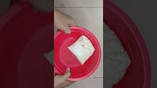 Download lagu #shorts  Maruci Susu, resep umpan ikan mas untuk pemula mp3
