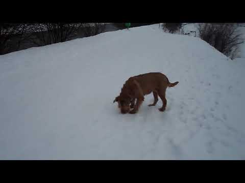 Buochs airfied 7th Feb V1