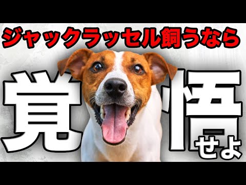 アクレアトゥス