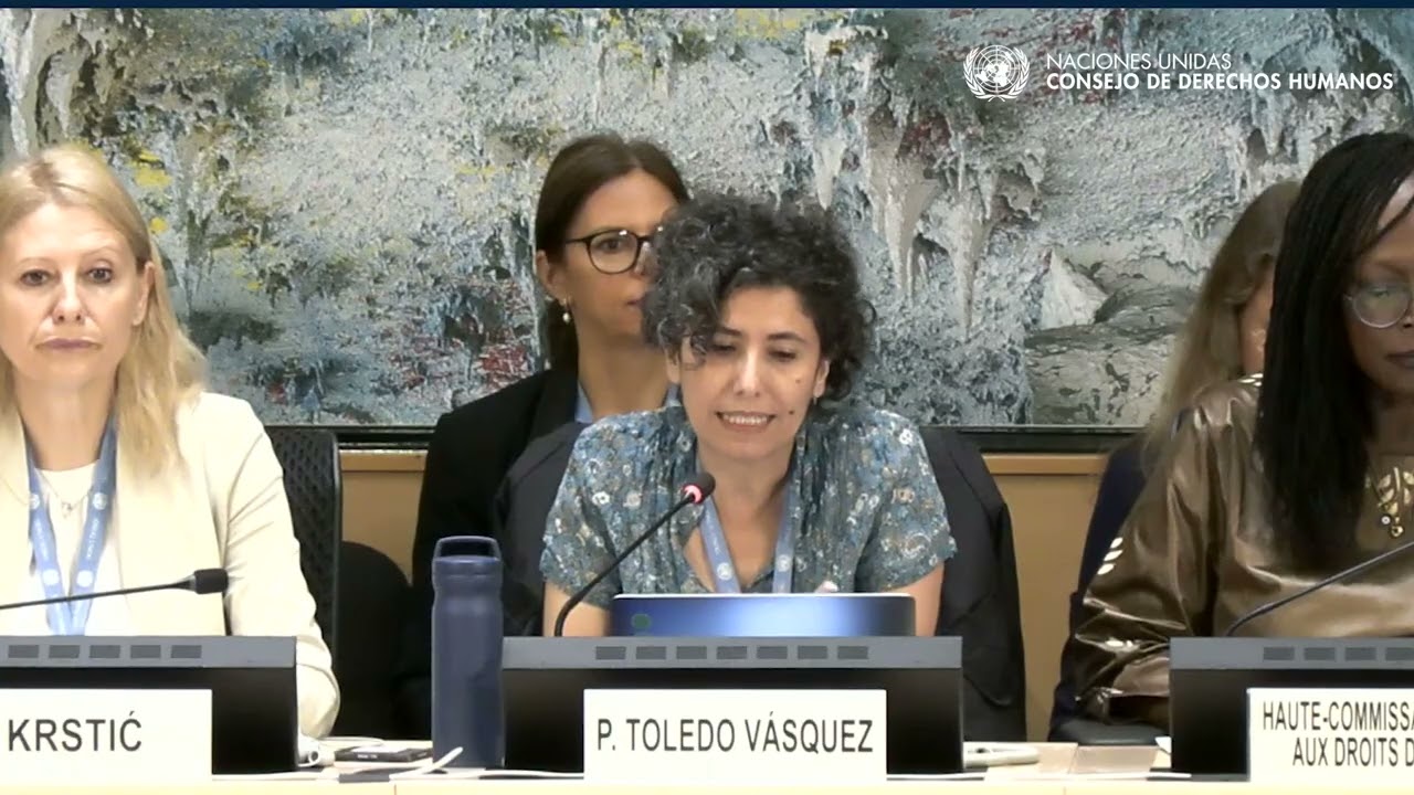 Violencia doméstica: previniendo el feminicidio - Patsilí Toledo Vásquez, Comité CEDAW