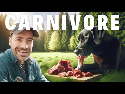 Raw Dog Food, How To! Carnivore Dogs Live Longer!