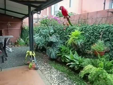 Casas, Venta, Jamundí - $610.000.000