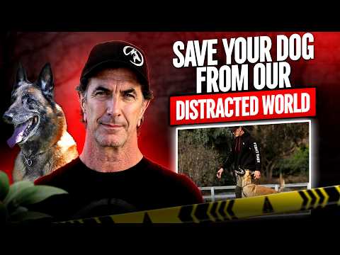 Nate Schoemer and Robert Cabral