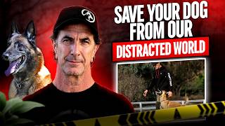The Most Misunderstood Dog Training Lessons | Robert Cabral Interview