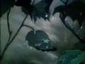 Bambi Little April Shower Old 1969 Finnish Dub