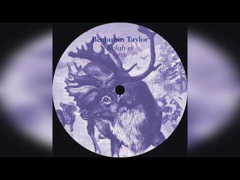 Benjamin Taylor — Gate (Original Mix)