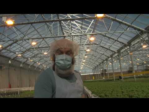 The Future of Agriculture