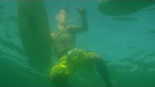 Your Worst Animal Nightmares: Sharks 2