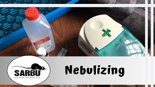 How to Nebulize Pet Rats