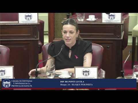 INTERVENCION DIPUTADA DE PONTI LUCILA - SESIÓN ORDINARIA Nº15 -PERIODO ORDINARIO 144º- 03/09/26