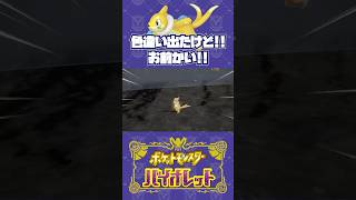色違い出たけど、お前かい！【ポケモンSV】