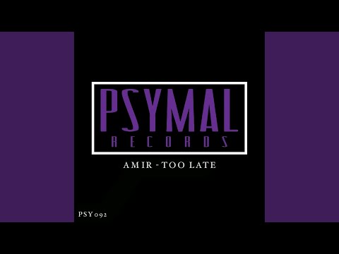 Too Late (Original Mix)