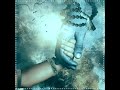 Jai Ho ShanKara WhatsApp Status AshuCreations