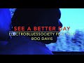 See A Better Day - ElectroBluesSociety feat Boo Boo Davis