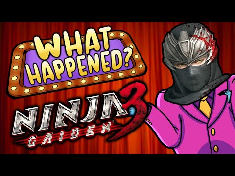 Ninja Gaiden 3 -- What Happened?