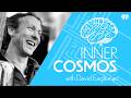 David Sussillo on Persistence and Luck | Inner Cosmos with David Eagleman
