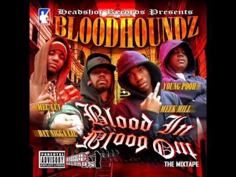BloodHoundZ - Who Scared