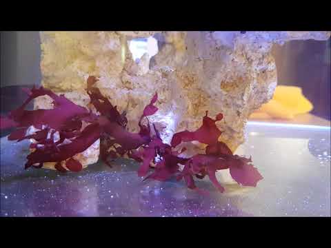 update kostka 90 litrów