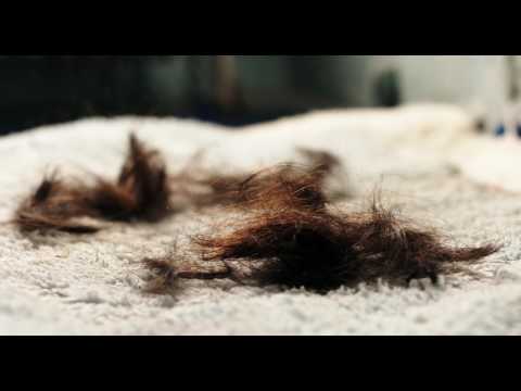 Punk Berlin 1982 (с субтитрами)