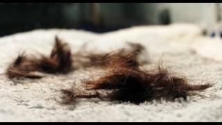 Трейлер: Панк Берлин 1982