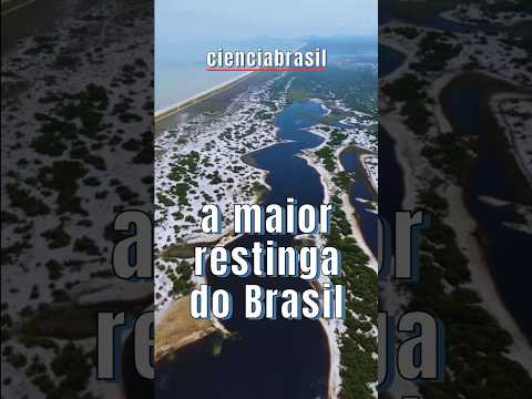 Jurubatiba - A maior restinga do Brasil