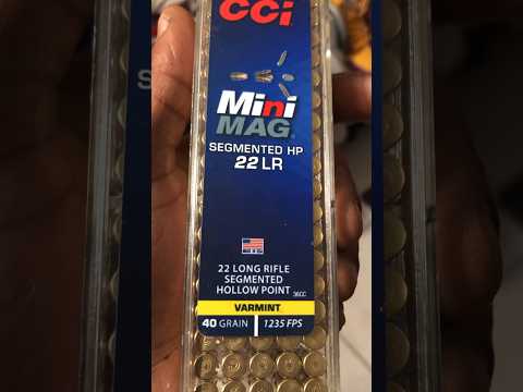 Cci Suppressor 22 Long-Rifle